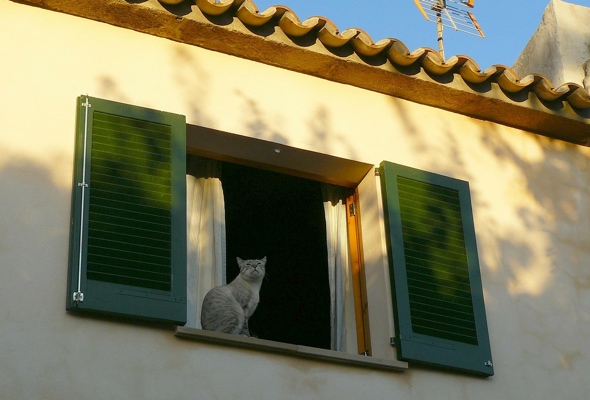 Outdoor shutters in Mediterranean home.